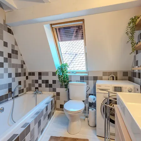 Duplex Centre - Climatisation - 6 Pers * Obernai